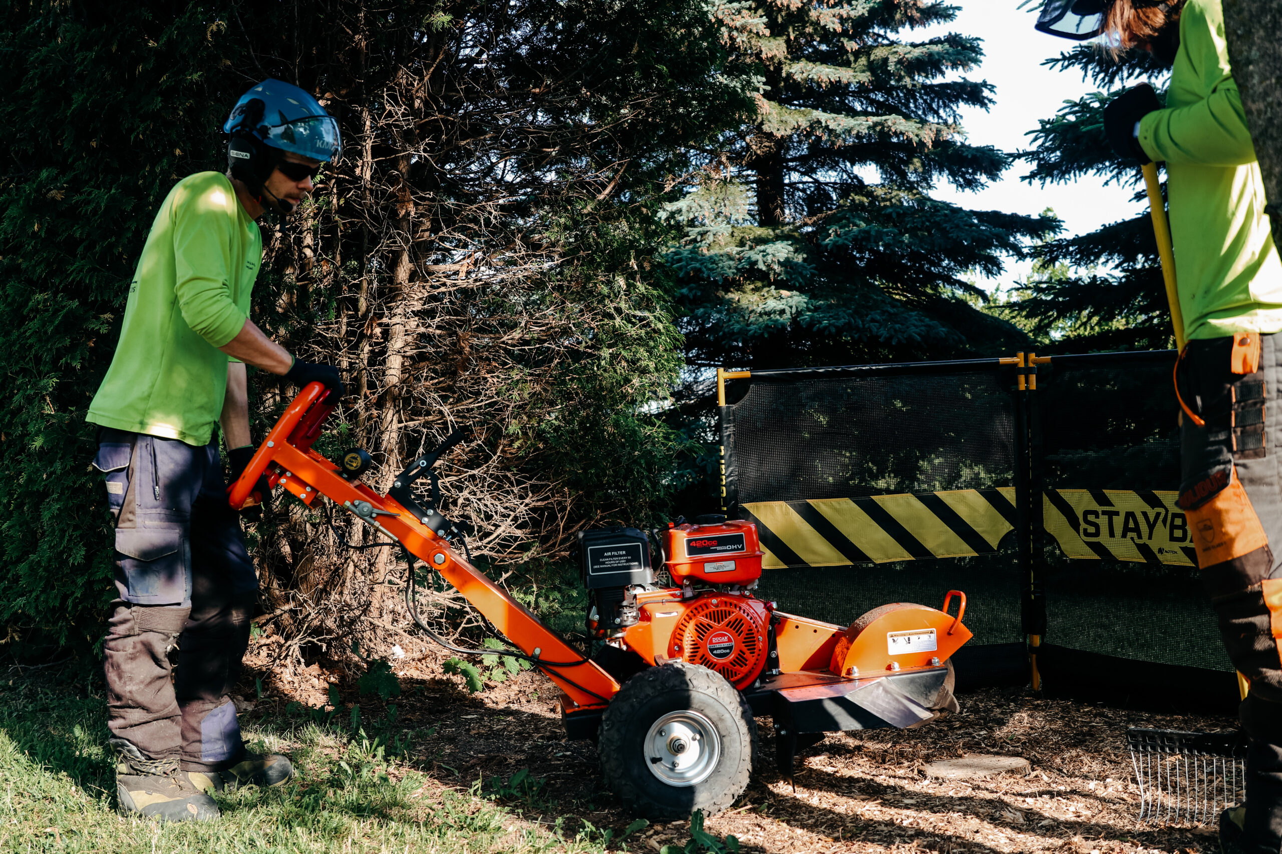 Stump Grinding